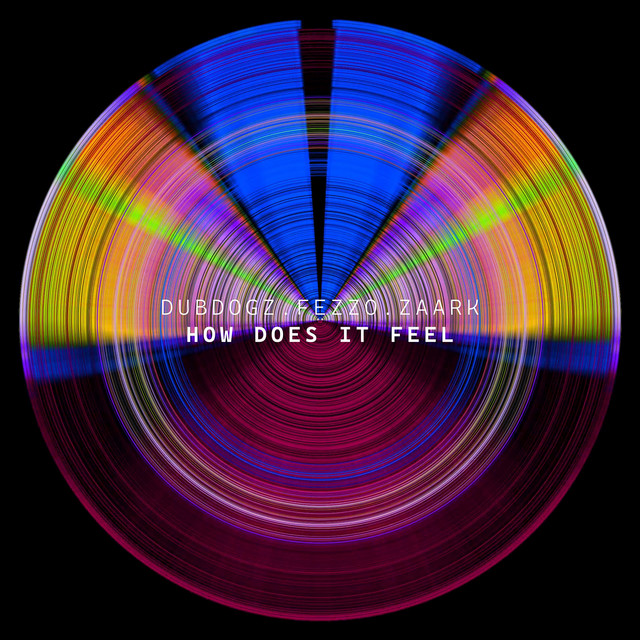 کاور آهنگ How Does It Feel از Dubdogz