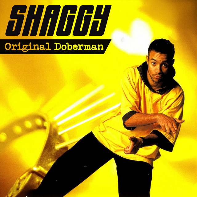 کاور آهنگ Alimony از Shaggy