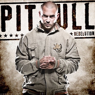 کاور آهنگ Full Of S**t (feat. Nayer & Bass III Euro) از Pitbull, Nayer