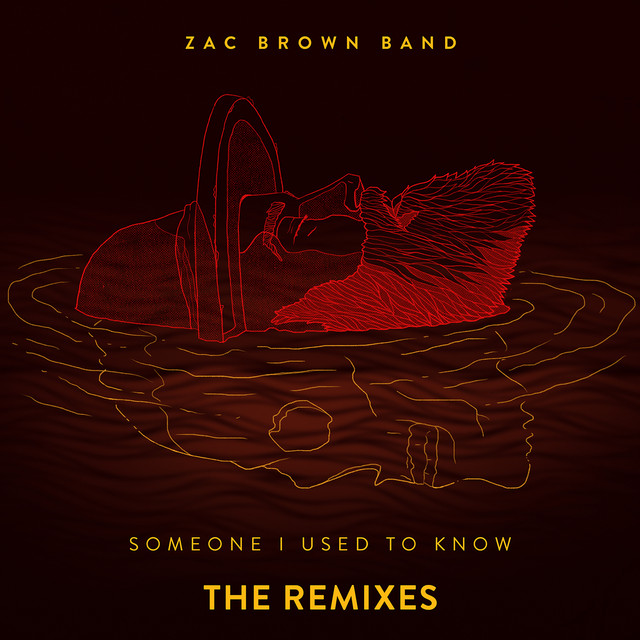 کاور آهنگ Someone I Used To Know - Riddler Radio Remix از Zac Brown Band, Riddler