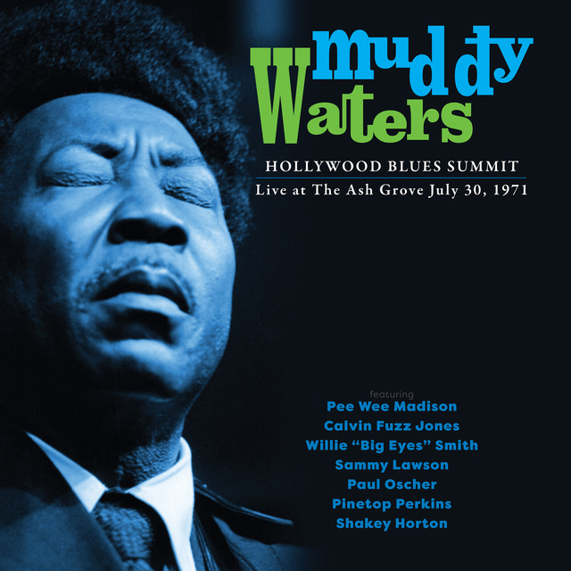 کاور آهنگ Got My Mojo Working از Muddy Waters