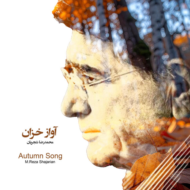 کاور آهنگ آن ماه از سروش کمالیان, محمدرضا شجریان