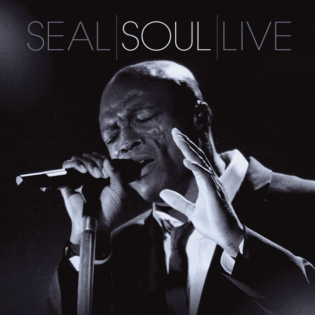 کاور آهنگ Crazy - Live از Seal