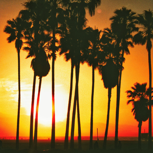 کاور آهنگ Summer Delight از Padre Toxico