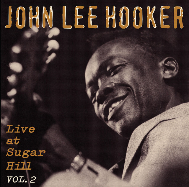 کاور آهنگ How Can You Do It? - Live از John Lee Hooker