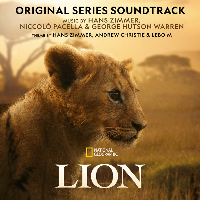 کاور آهنگ Hunting Lessons از Hans Zimmer