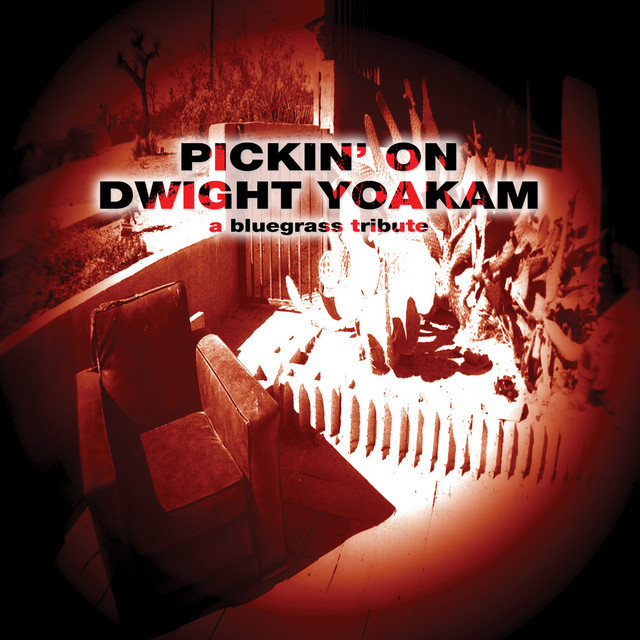 کاور آهنگ Hurtin' Boy Blues - Original Composition از Pickin' On Series