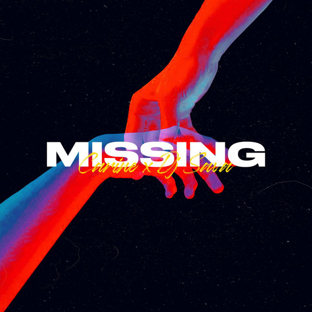 کاور آهنگ Missing از Dj Sava