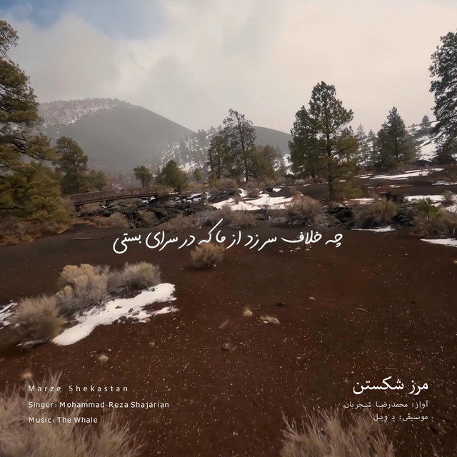 کاور آهنگ مرز شکستن - بازآفرینی اثر محمدرضا شجریان از دِ وِیل