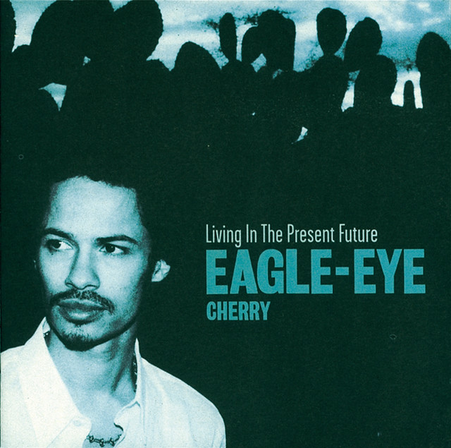 کاور آهنگ She Didn't Believe از Eagle-Eye Cherry