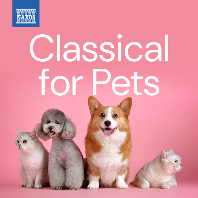 کاور آهنگ Gaspard de la nuit, M. 55: II. Le gibet از Johann Sebastian Bach, Frederic Chopin, Pyotr Ilyich Tchaikovsky, Sergei Rachmaninoff, Robert Schumann, Ludwig van Beethoven, Maurice Ravel, Franz Liszt, Johannes Brahms, John Field