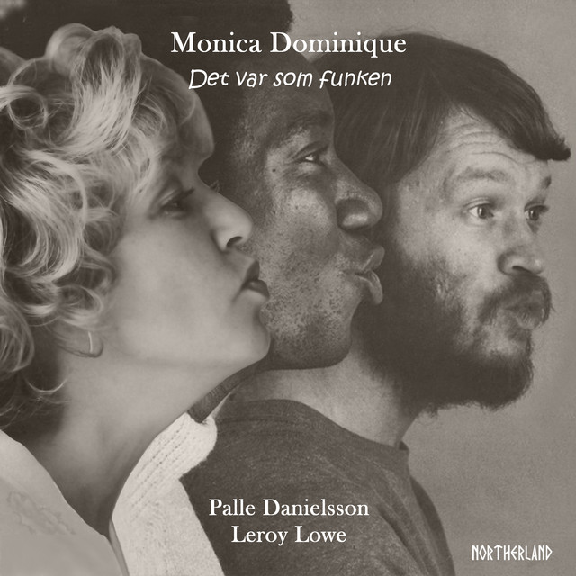 کاور آهنگ Det var som funken از Palle Danielsson