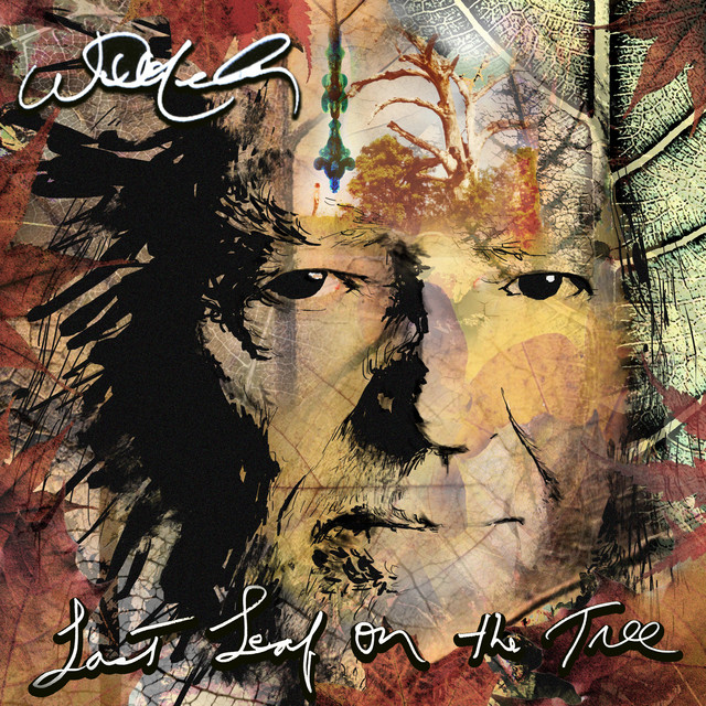 کاور آهنگ Color Of Sound از Willie Nelson