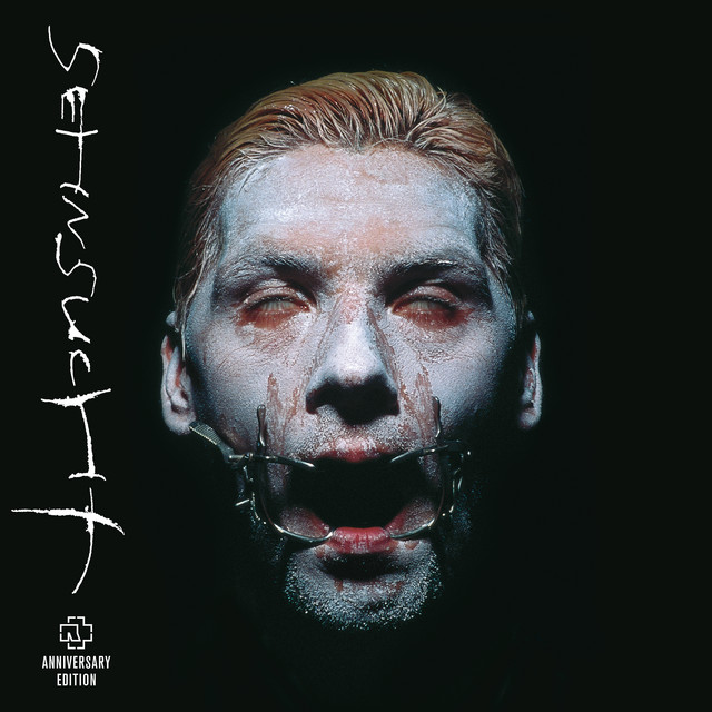 کاور آهنگ Tier از Rammstein