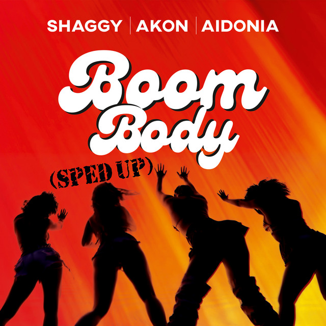 کاور آهنگ Boom Body - Sped Up از Shaggy, Akon, Aidonia