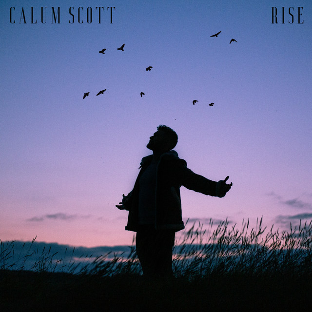 کاور آهنگ Rise از Calum Scott