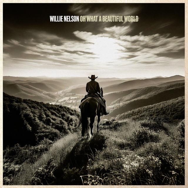 کاور آهنگ I Wouldn't Be Me Without You از Willie Nelson