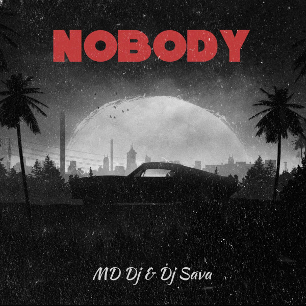 کاور آهنگ Nobody از Dj Sava