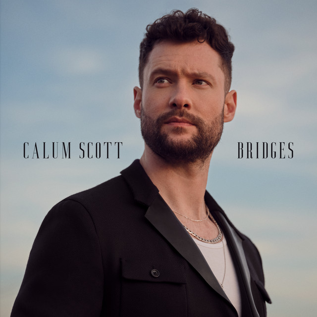 کاور آهنگ Goodbye, Again از Calum Scott