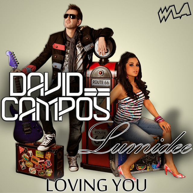 کاور آهنگ Loving You از Lumidee