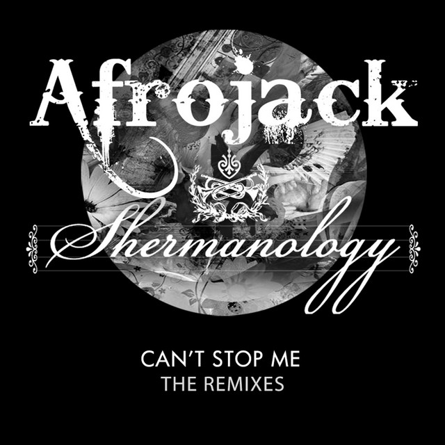 کاور آهنگ Can't Stop Me - R3hab & Dyro Remix از R3HAB, AFROJACK, Dyro, Shermanology