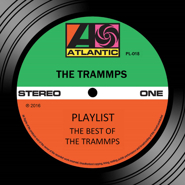 کاور آهنگ The NIght the Lights Went Out از The Trammps