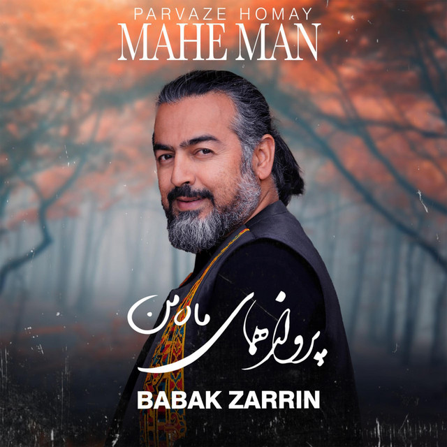 کاور آهنگ ماه من از بابک زرین, پرواز همای