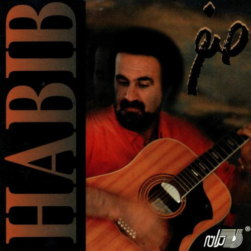 کاور آهنگ کسی حالمو نمی‌پرسه از حبیب
