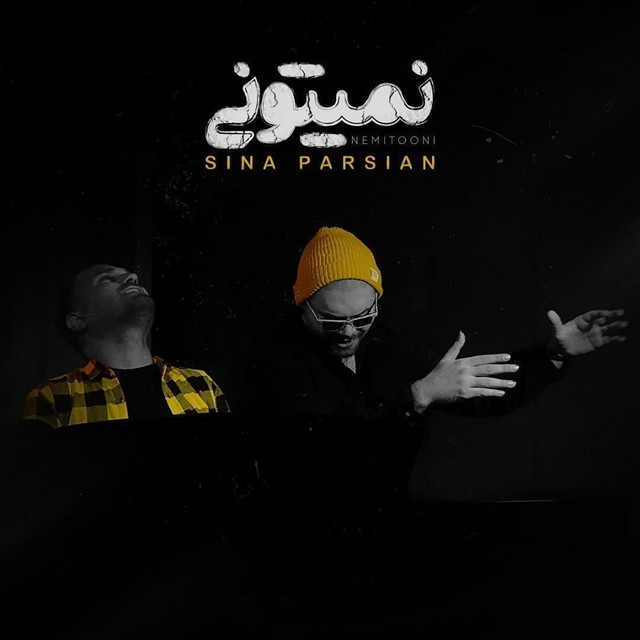 کاور آهنگ نمی‌تونی از سینا پارسیان