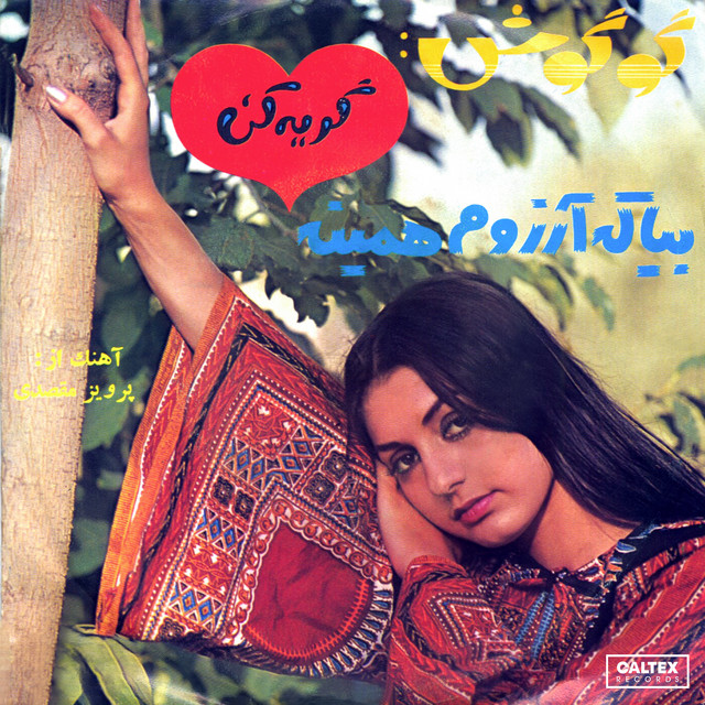 کاور آهنگ گریه کن از گوگوش