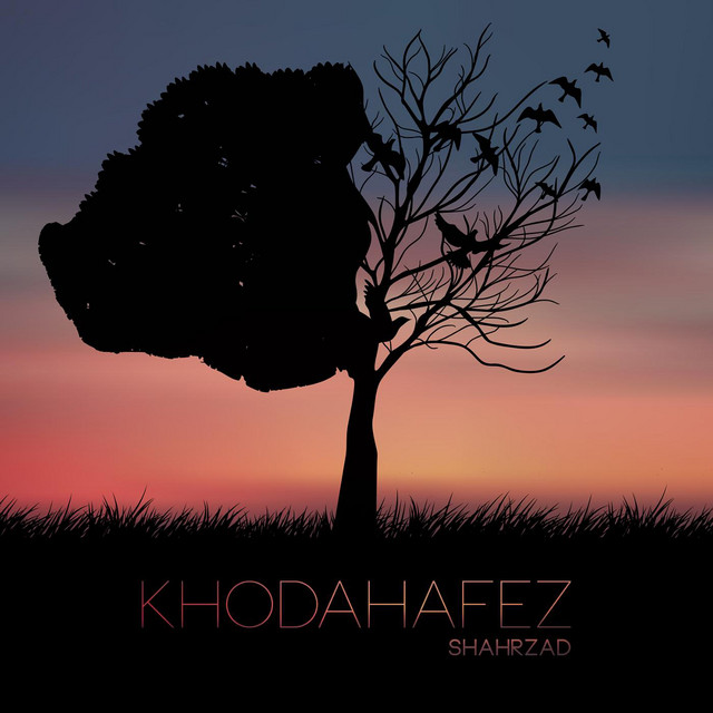 کاور آهنگ خداحافظ از شهرزاد
