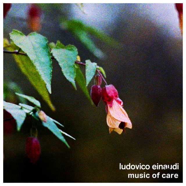 کاور آهنگ Waterways از Ludovico Einaudi