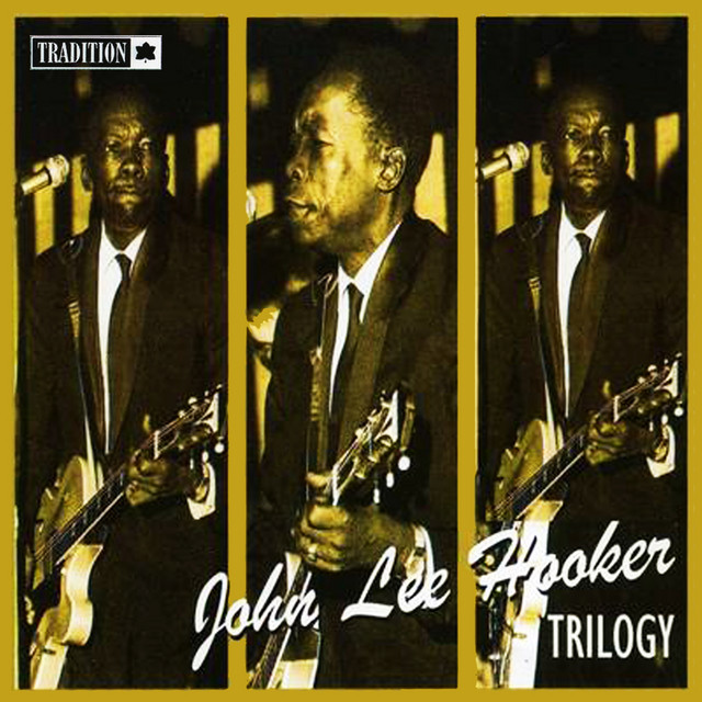 کاور آهنگ Baby Lee از John Lee Hooker