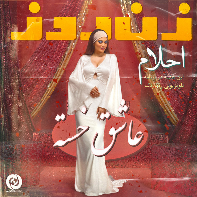کاور آهنگ عاشق خسته از احلام