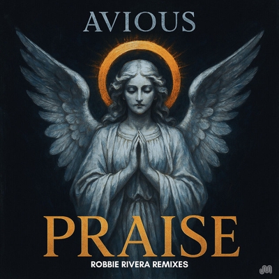 کاور آهنگ Praise - Robbie Rivera Remix از Robbie Rivera, Avious