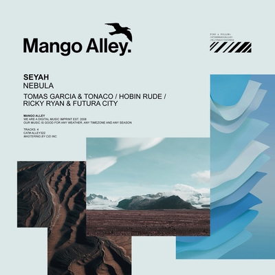 کاور آهنگ Nebula - Ricky Ryan & Futura City Rework از Seyah, Ricky Ryan, Futura City