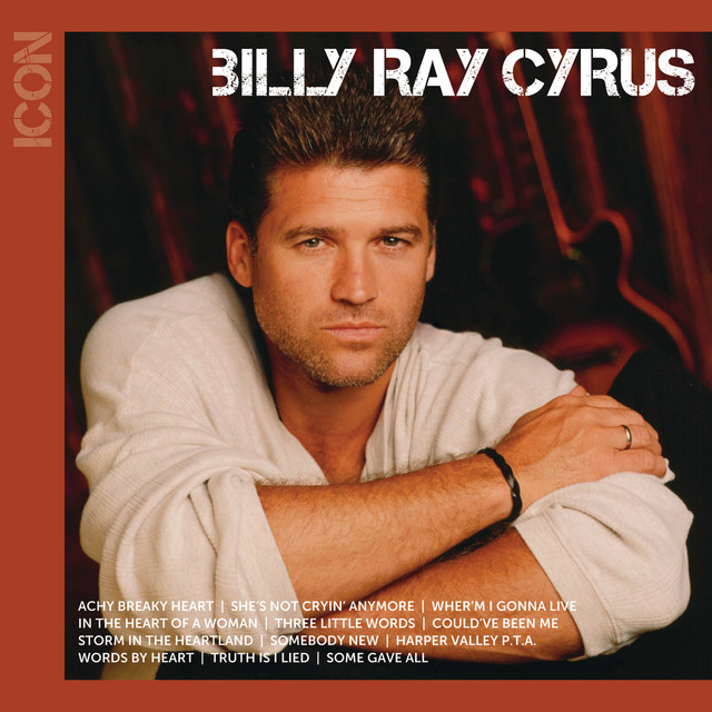 کاور آهنگ Harper Valley P.T.A. از Billy Ray Cyrus