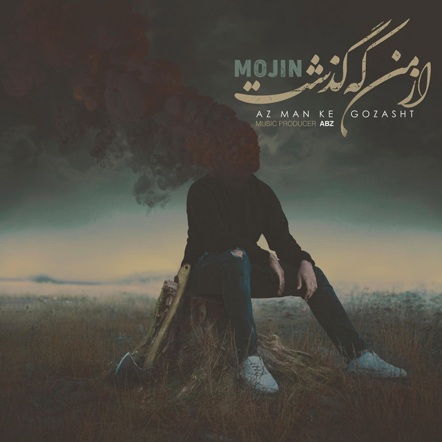 کاور آهنگ از من که گذشت از موجین