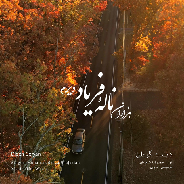 کاور آهنگ دیدۀ گریان - بازآفرینی اثر محمدرضا شجریان از دِ وِیل