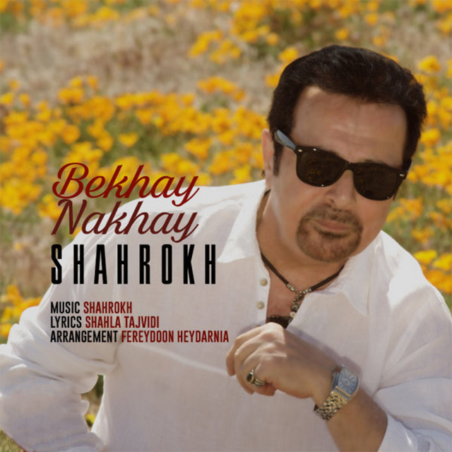 کاور آهنگ بخواهی نخواهی از شاهرخ