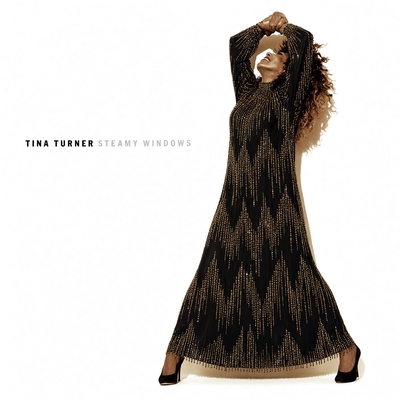 کاور آهنگ Steamy Windows - 12“ Vocal Mix, 2021 Remaster از Tina Turner, Justin Strauss, Daniel Abraham