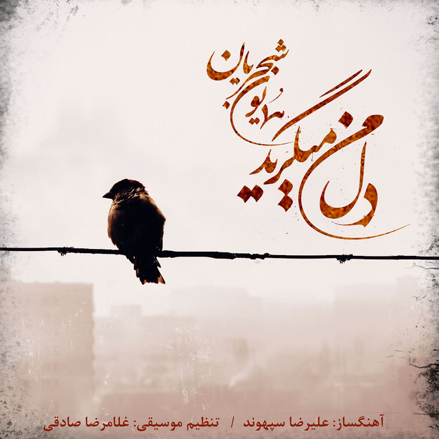 کاور آهنگ دل من می‌گرید از همایون شجریان