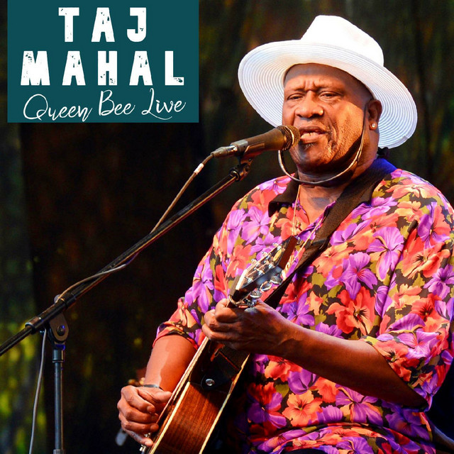 کاور آهنگ Rain From the Sky - Live از Taj Mahal