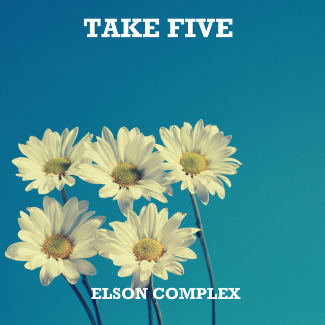 کاور آهنگ Take Five (Solo Guitar) از Paul Desmond