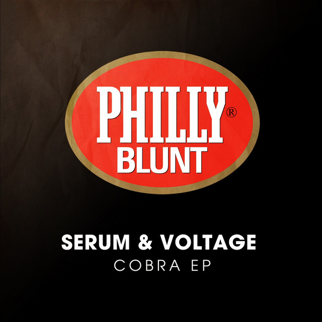 کاور آهنگ Cyber Funkin از Serum