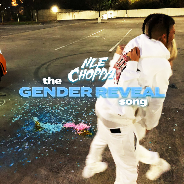 کاور آهنگ The Gender Reveal Song از NLE Choppa