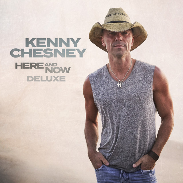 کاور آهنگ Wasted از Kenny Chesney