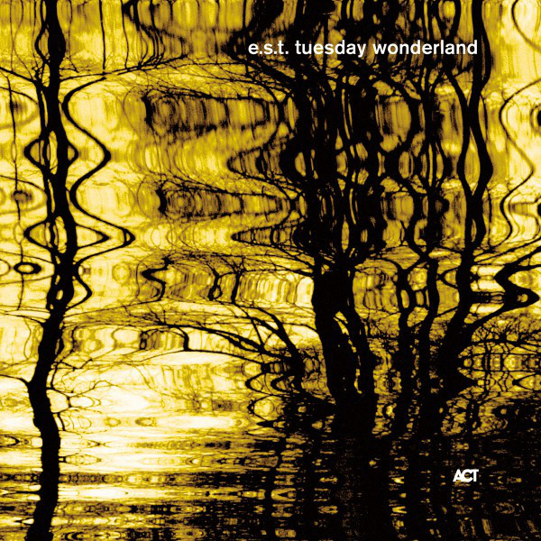 کاور آهنگ Brewery of Beggars از Esbjorn Svensson Trio