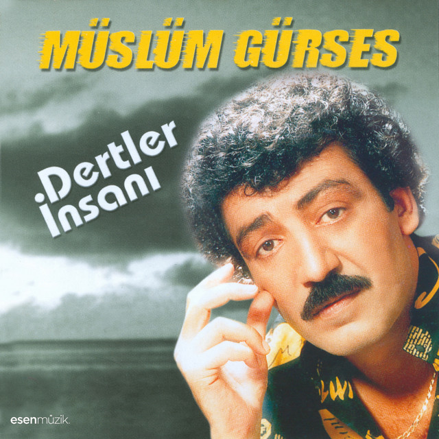 کاور آهنگ Düştün Gözümden از Muslum Gurses