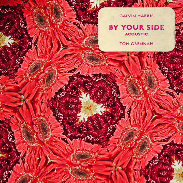 کاور آهنگ By Your Side (feat. Tom Grennan) از Calvin Harris, Tom Grennan